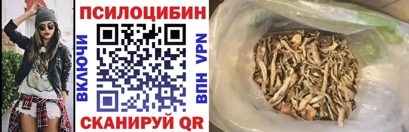 Купить Конаково Псилоцибиновые грибы GOLDEN TEACHER