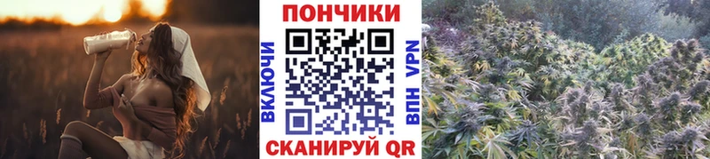 Конопля LSD WEED  Купить где  Конаково 